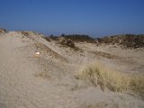 Pannenkoekenmolenloop 2016 - 37.jpg